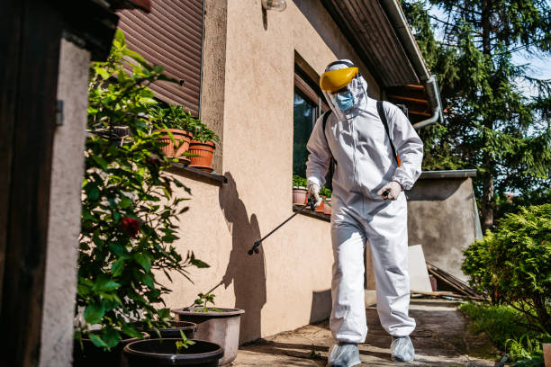 Best Termite Control Services  in Glenville, CT