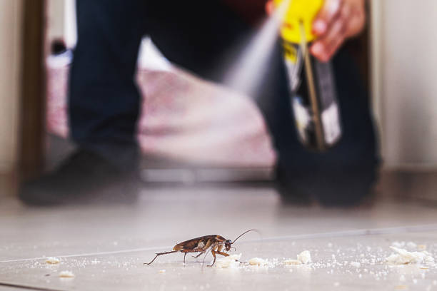 Trusted Glenville, CT Pest Control Experts